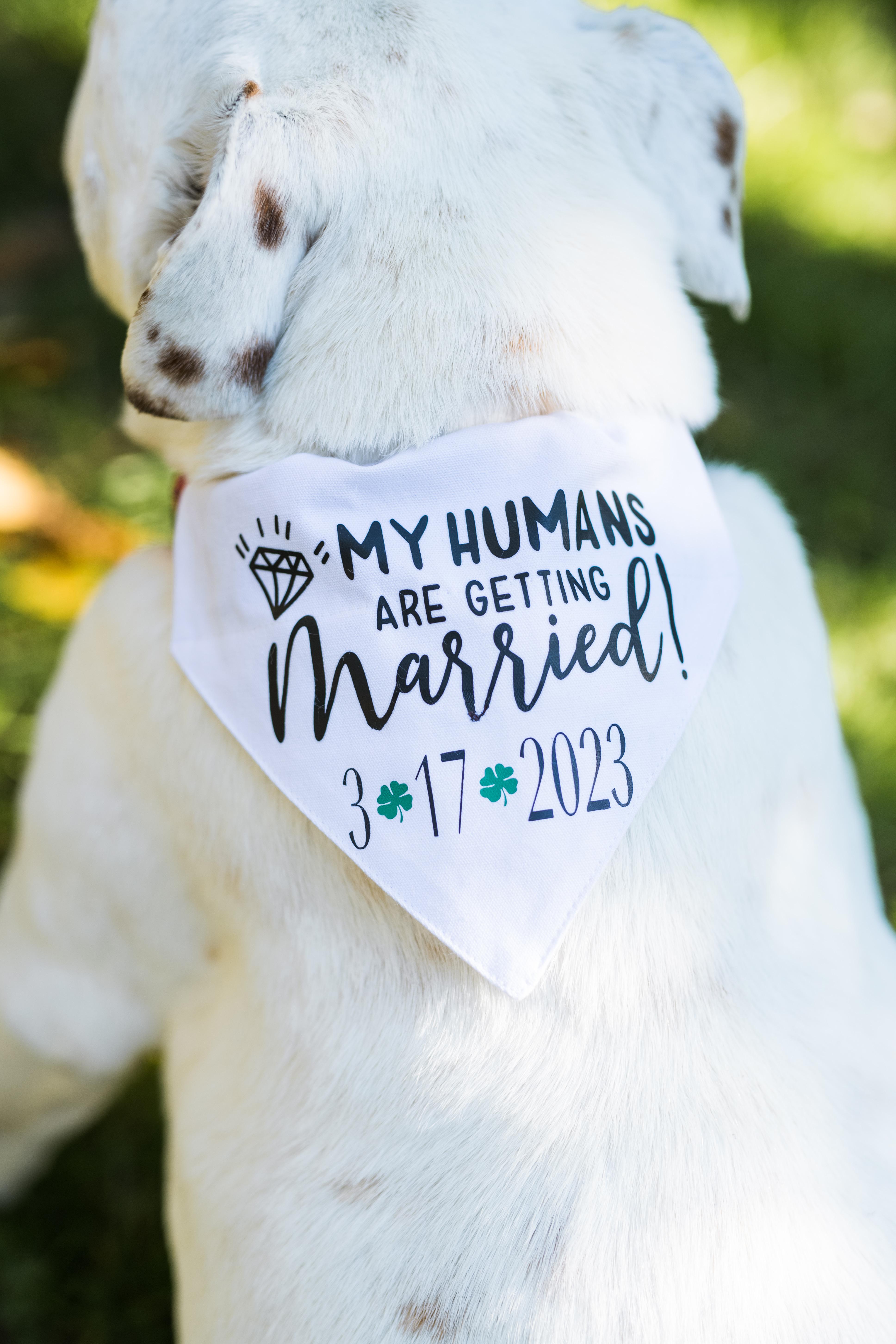 The Wedding Website of Andrea Wagner and Michael McDonnell