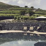 Wine Tasting at Benanti