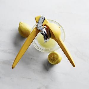 Chef'n Citrus Juicer