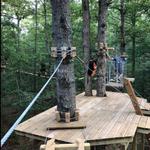 Tree Time Adventures