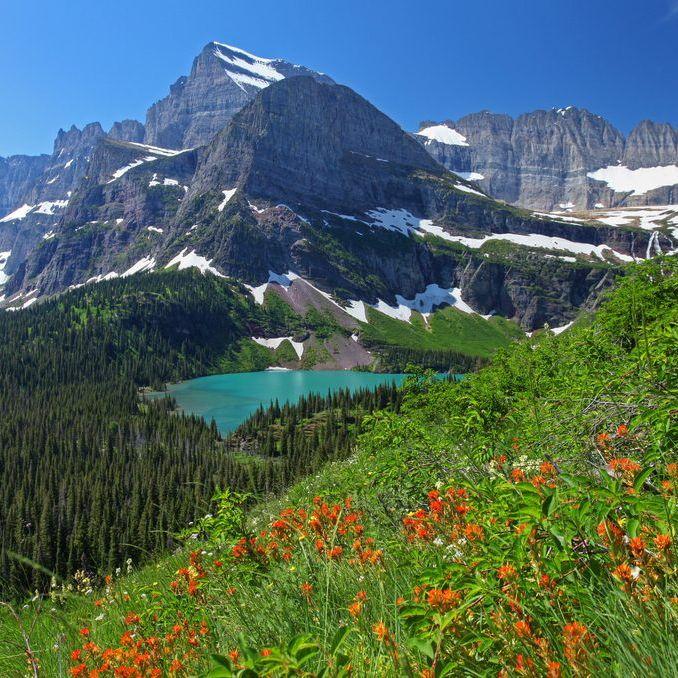 Glacier