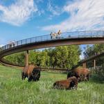 Minnesota Zoo