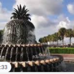 Pineapple Fountain