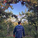 Stone Mountain Farm