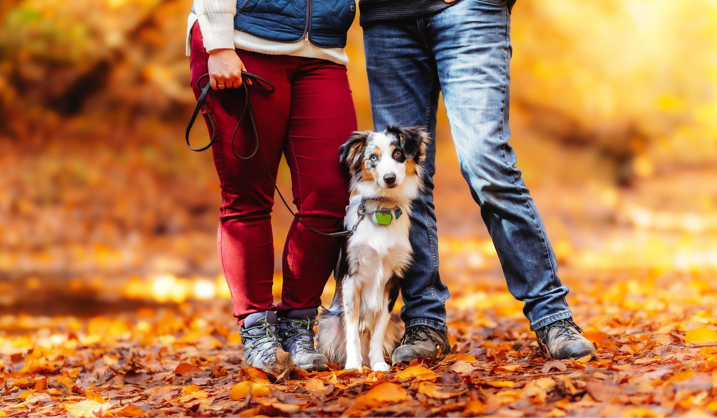 445d8690-dc7e-4c42-bd73-420a84ef4475