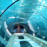 Newport Aquarium
