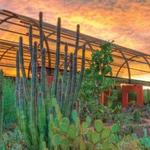 Desert Botanical Garden