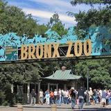 Bronx Zoo