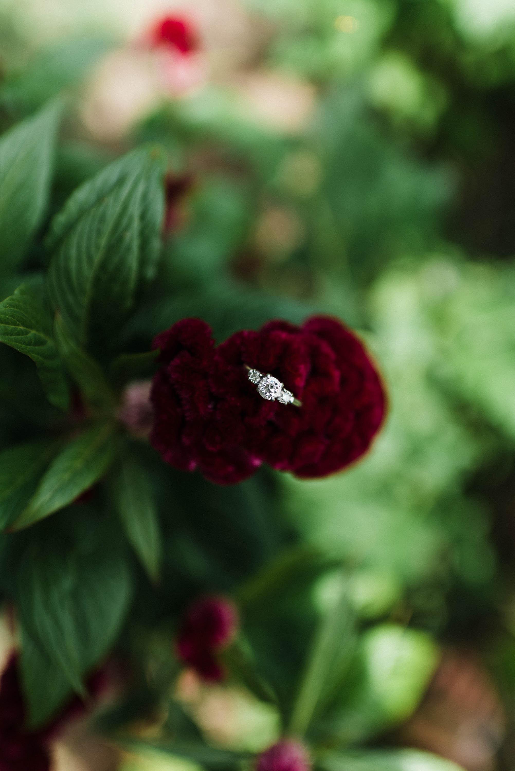 The Wedding Website of Ellie Mueller and Will Brown