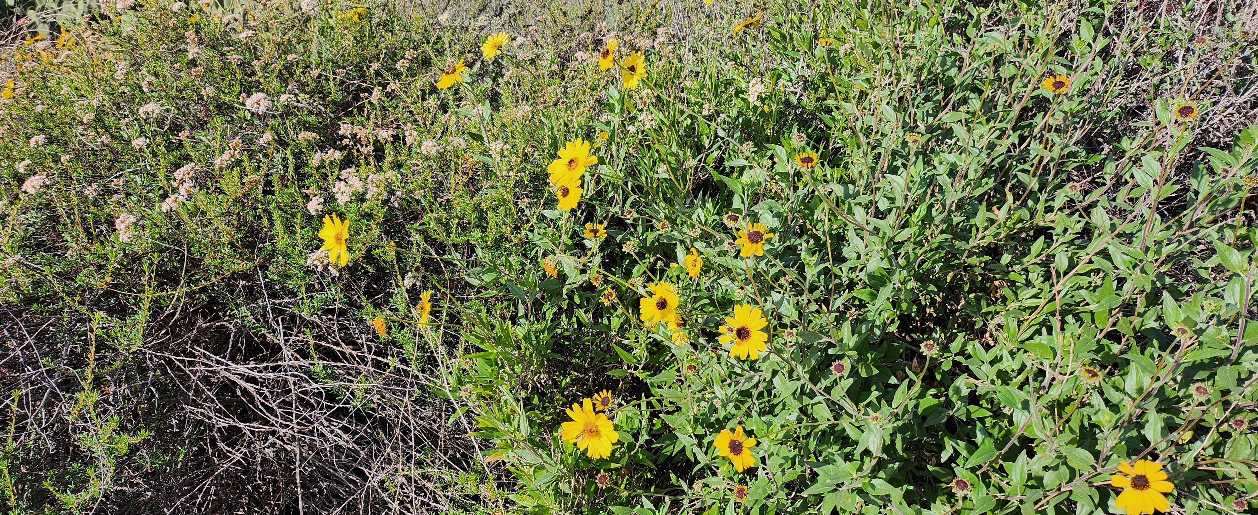 445f62be-cece-4cb3-b931-38d80453ae37