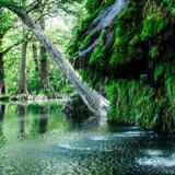 Krause Springs
