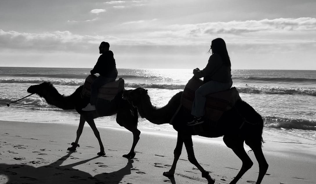 The Wedding Website of Yara Abbas and Anoir Charrak