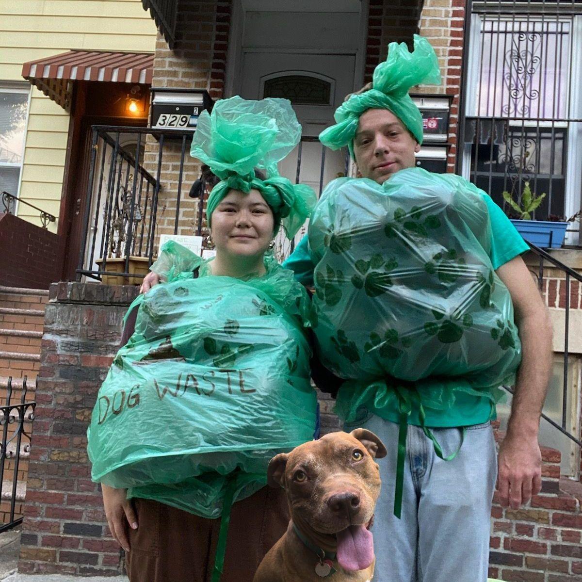 Halloween 2024 we decided to be bags of dog waste- Edward got photo shopped in.