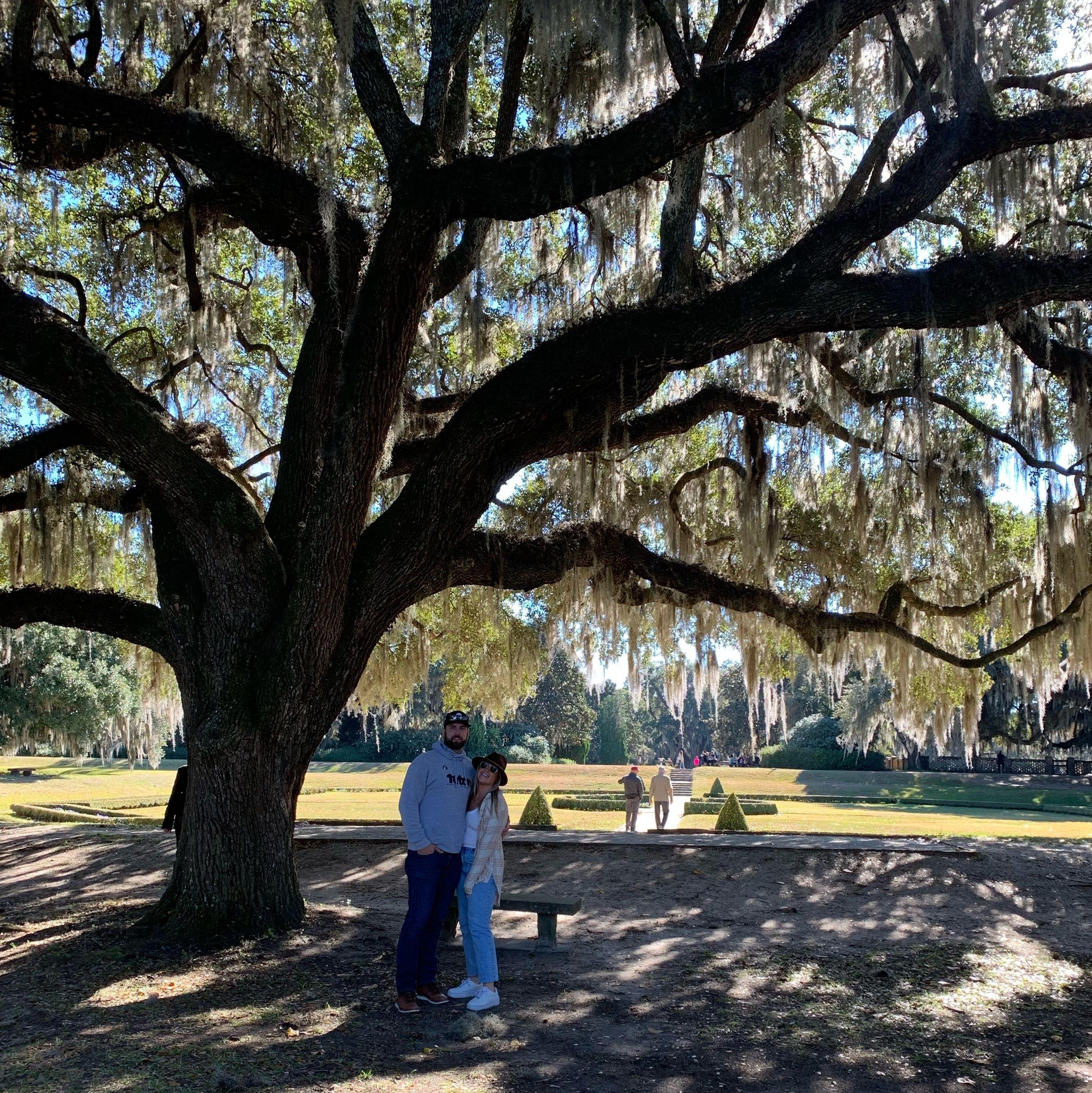 Middleton Place, Charleston