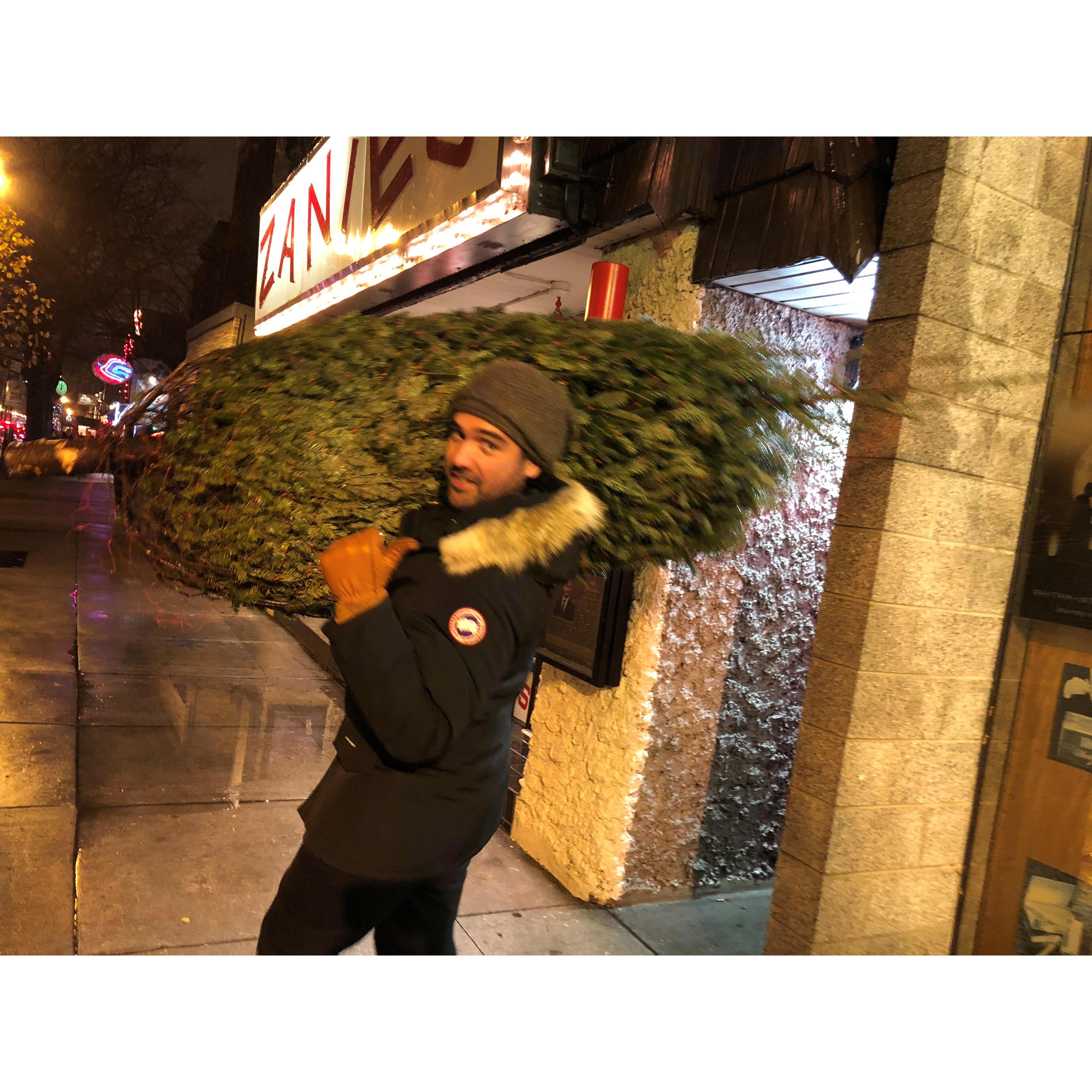 When Lauren found out Franco couldn't remember the last time he had a real Christmas tree, she insisted they needed to get one. She then made him carry a 7 foot tree about 1.5 miles home.