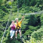 Zip Line