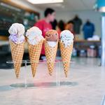 Blue Cow Ice Cream Co.