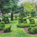 Topiary Park