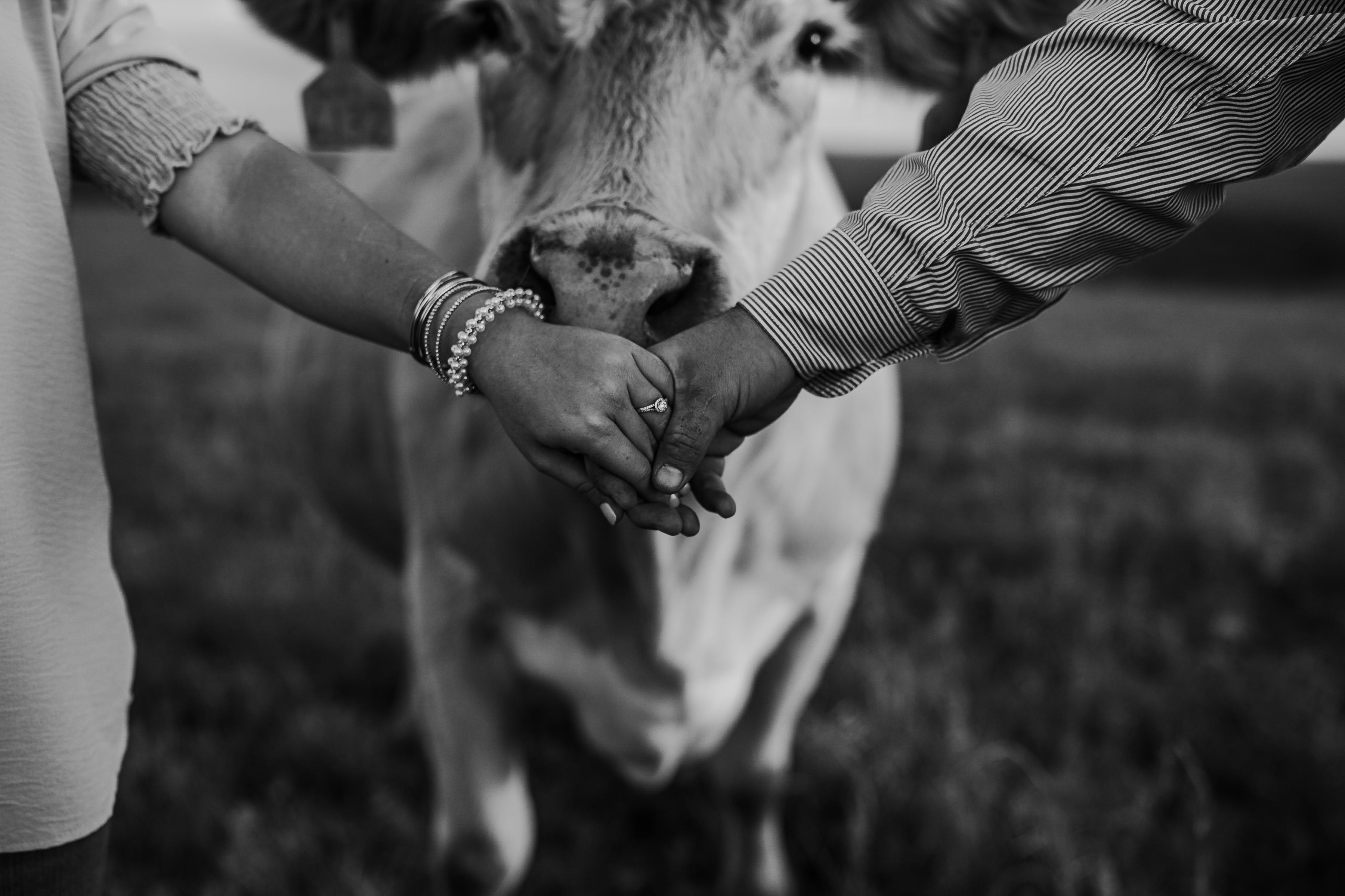 The Wedding Website of Kensi Hinkle and Clayton Good