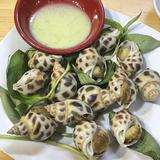 Ốc Đào