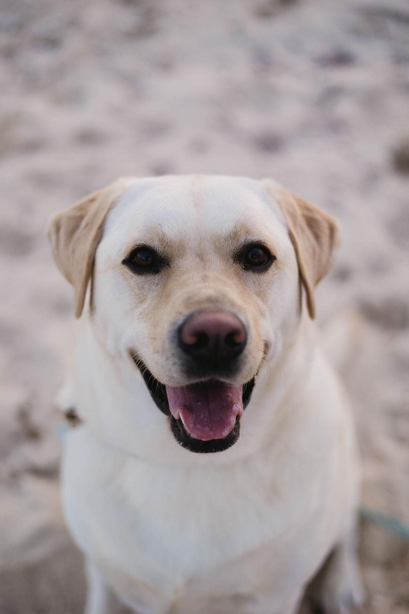 4466bb8d-1f8b-4740-9af8-656b0932925c