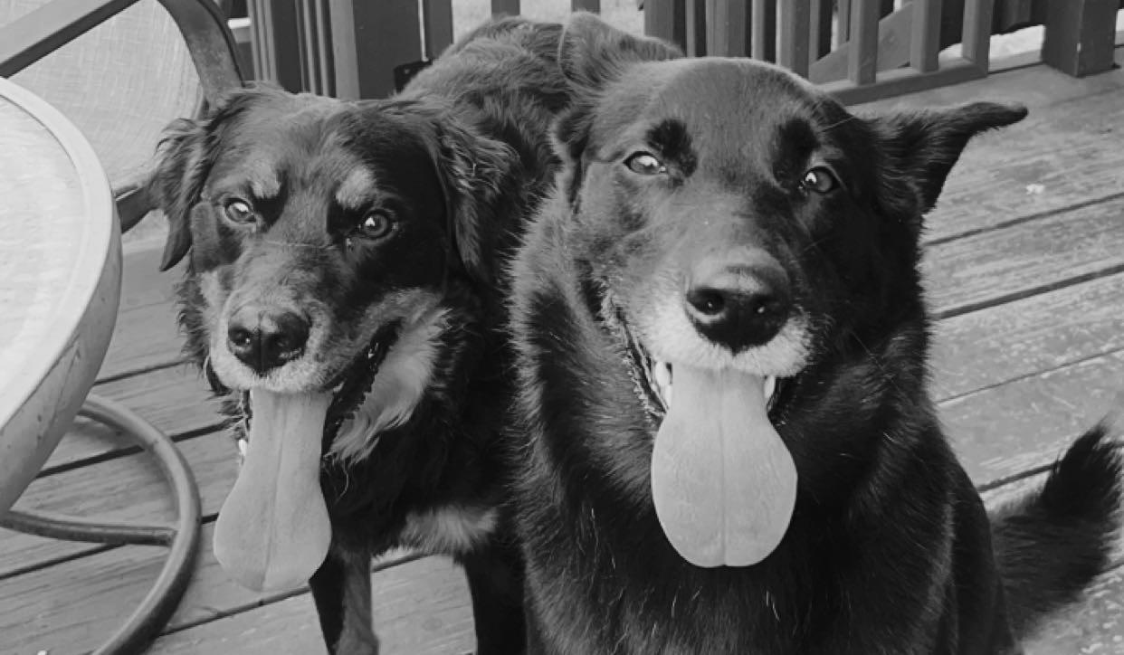 The Wedding Website of liz rice and lorenzo valley