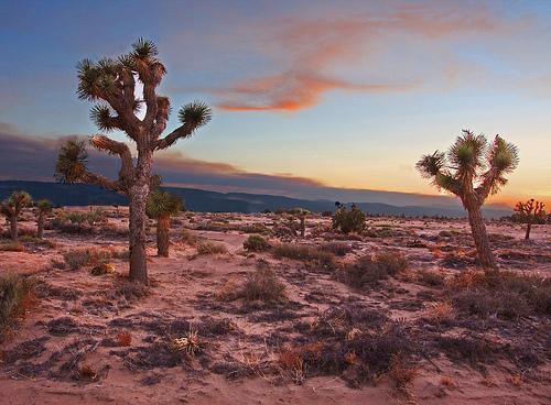 The Wedding Website of Nathalie Barboza and Edwin Madrigal