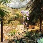 The Butterfly Palace & Rainforest Adventure