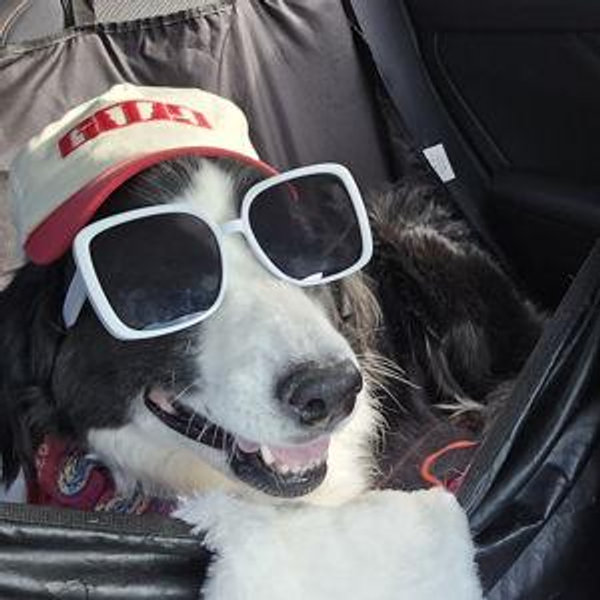 Maggie Fund