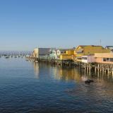 Fisherman's Wharf