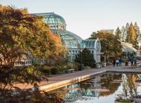 Brooklyn - Botanic Garden