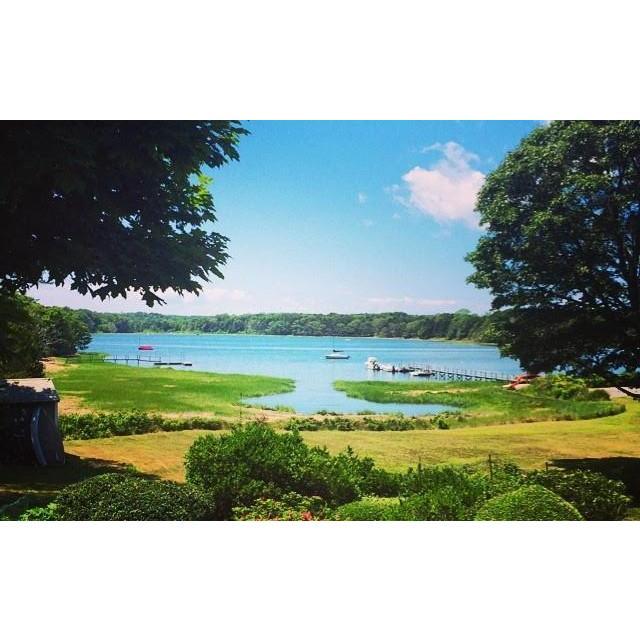 Our venue for the whole wedding (which is Kirsten's grandparent's backyard).