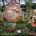 Bellagio Conservatory & Botanical Gardens