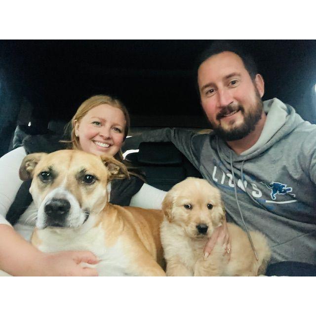Adding a new member to our family Bauer