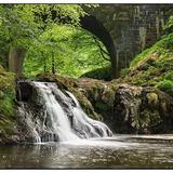 Arbirlot Waterfall