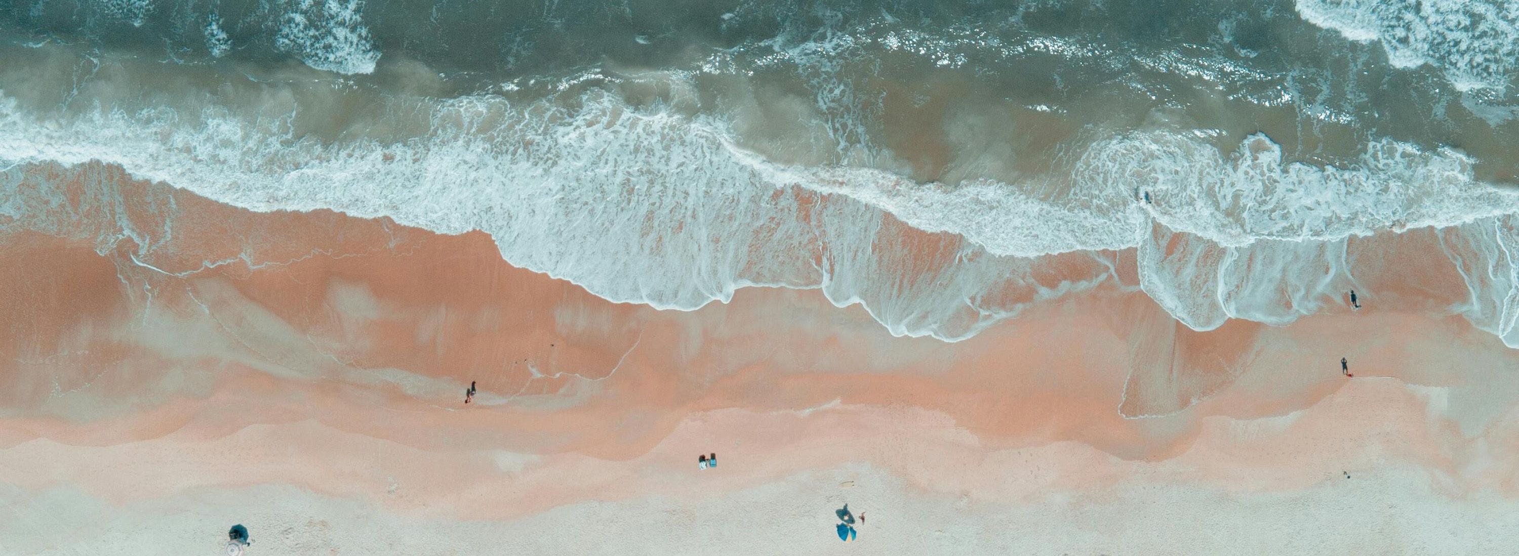 The Wedding Website of Binh Siu and Nicolas Scheffer