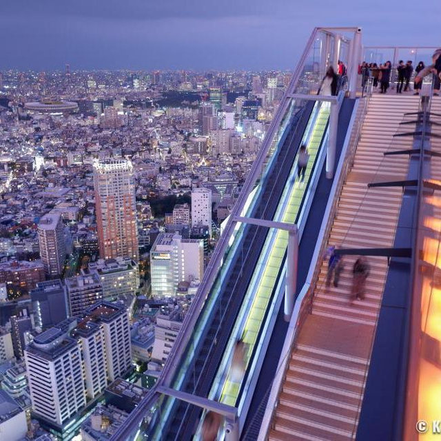 Shibuya Sky Observation Deck