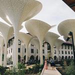 Visit Blanton Museum of Art