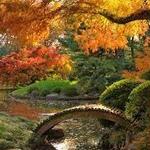 Brooklyn Botanic Garden