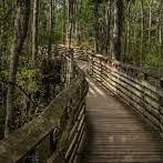 First Landing State Park