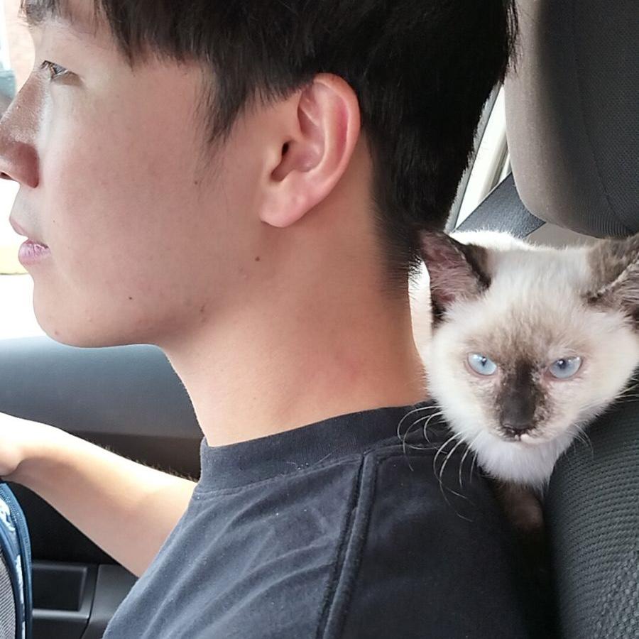 Brought little Tigger home!!