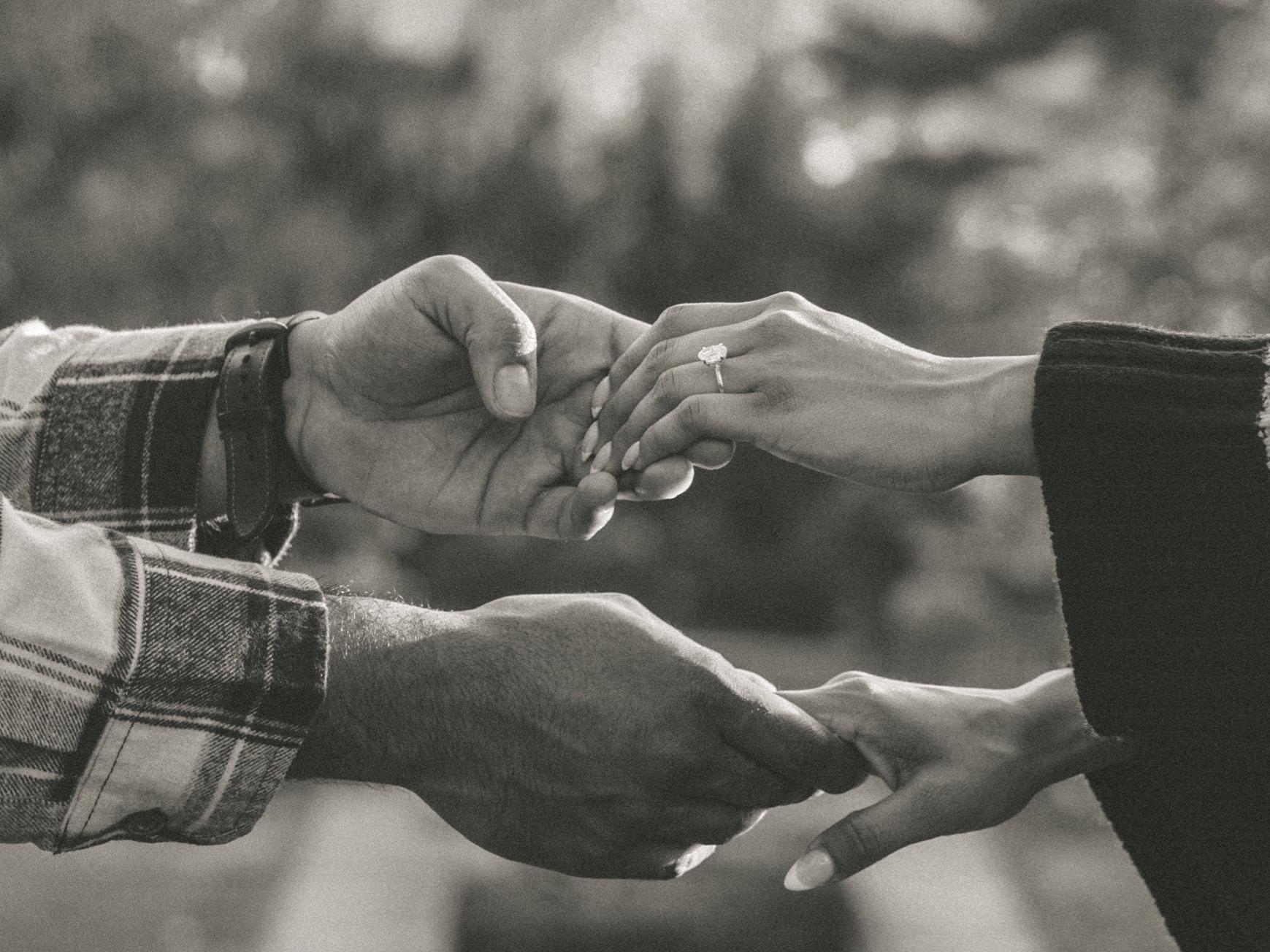 The Wedding Website of Sufian Rahim and Ruba Rizvi