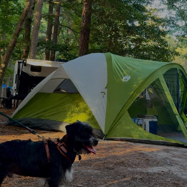 Rent Us A Campsite