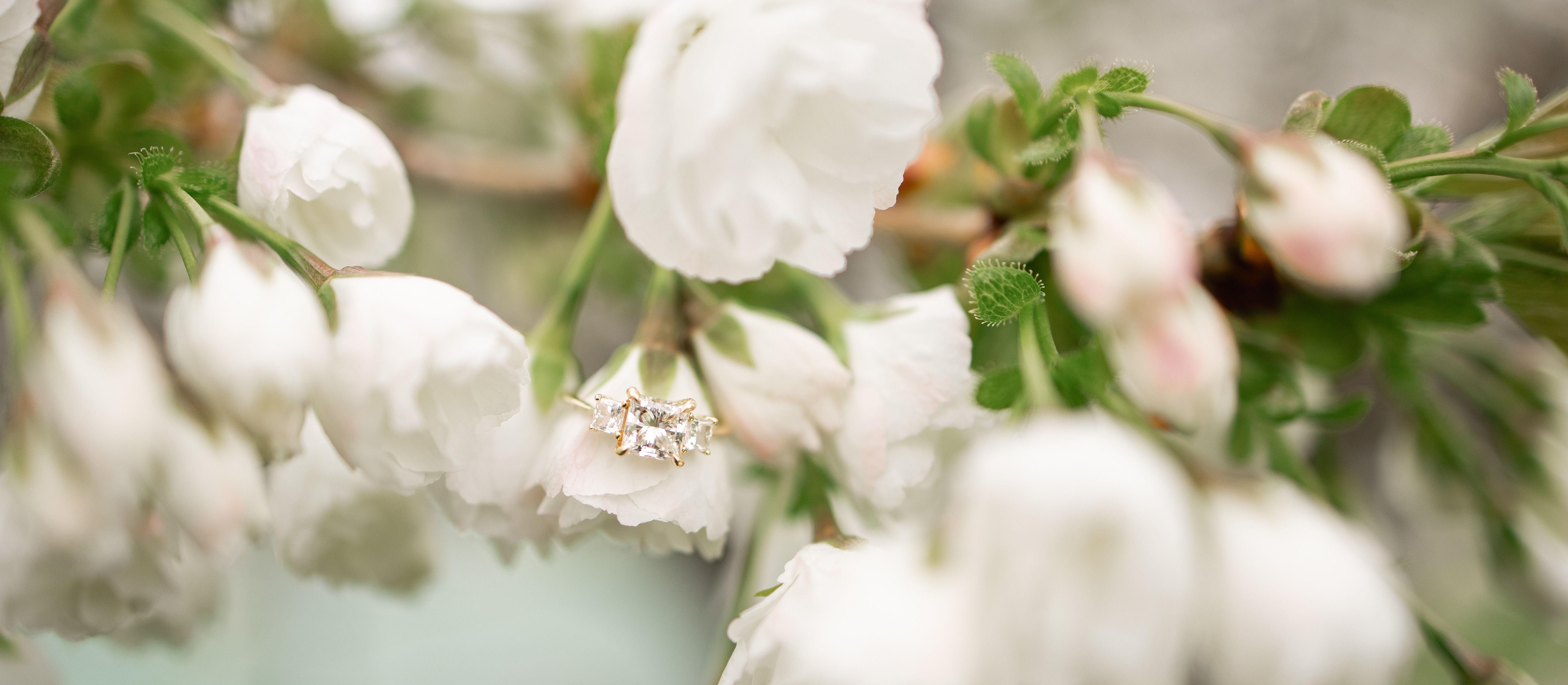 The Wedding Website of Kiersten Krumm and Matthew Johnson