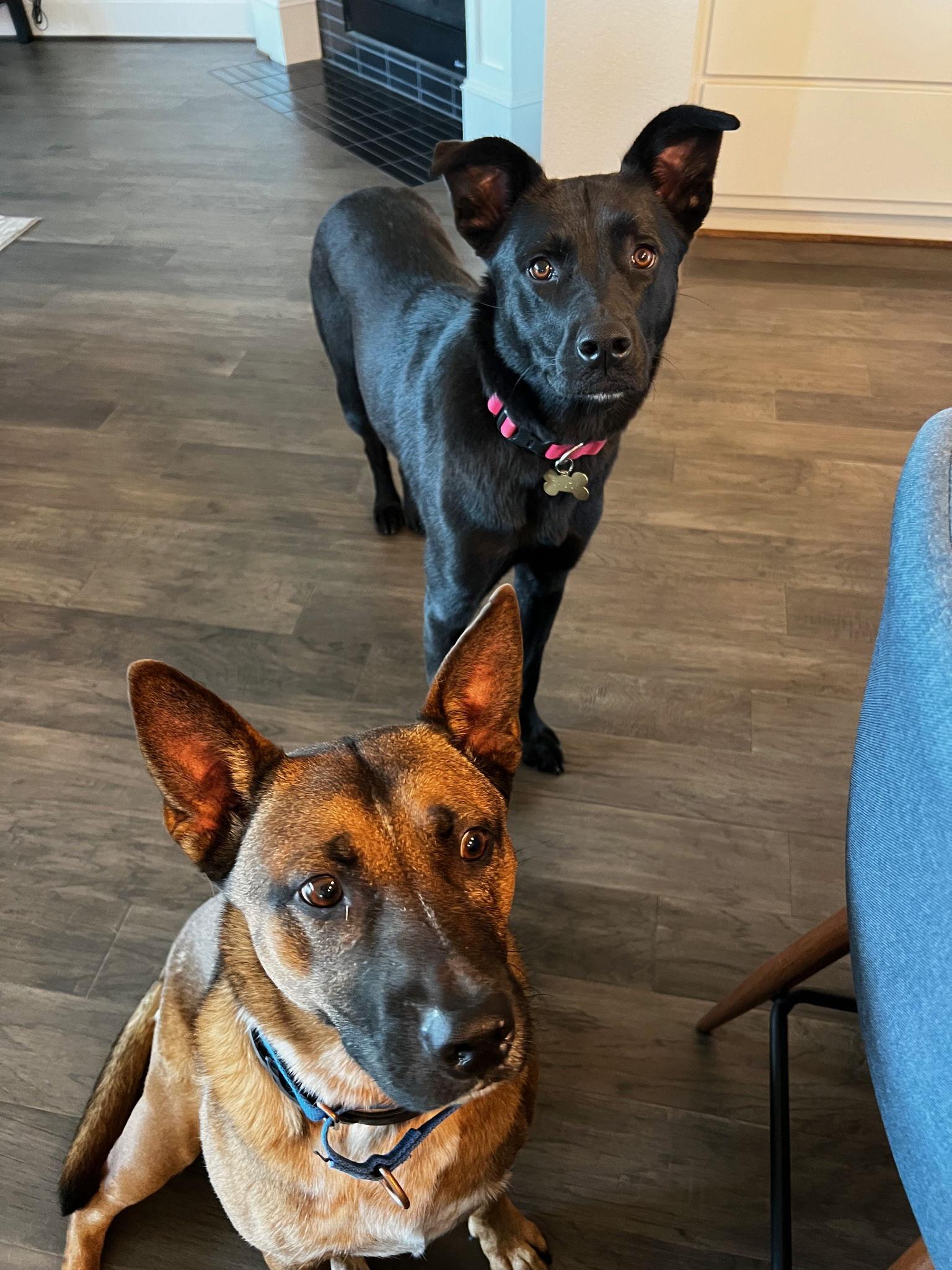 The Wedding Website of Lauren Ledbetter and Mitchell Chen