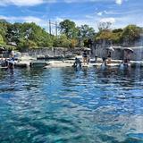Mystic Aquarium