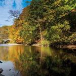 Wissahickon Valley Park