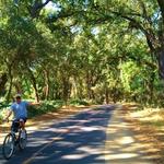 American River Bicycle Trail