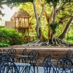 Marie Selby Botanical Gardens