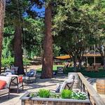 Bogle Family Vineyards